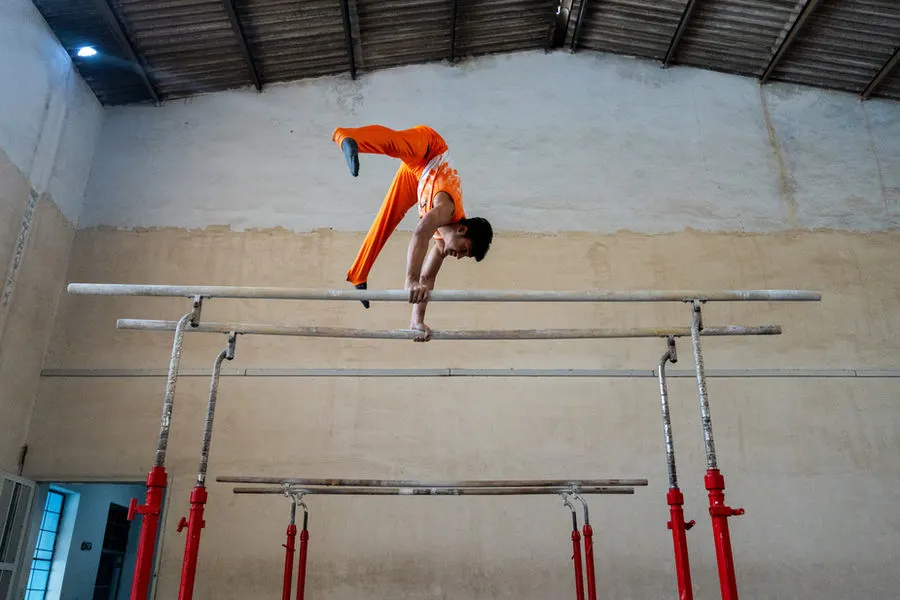 Gymnast on the parallel bars